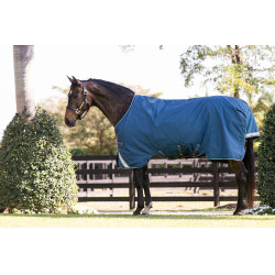 Manta Horseware Rhino Turnout 100g Marino / gris / aqua / gris Azul marino Manta Horseware Rhino Turnout 100g Marino / gris / aqua / gris Azul marino