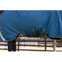 Manta Horseware Rhino Turnout 100g Marino / gris / aqua / gris Azul marino Manta Horseware Rhino Turnout 100g Marino / gris / aqua / gris Azul marino