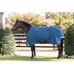 Manta Horseware Rhino Turnout 100g Marino / gris / aqua / gris Azul marino Manta Horseware Rhino Turnout 100g Marino / gris / aqua / gris Azul marino