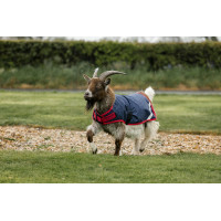 Cobertura para cabra Horseware 0g Azúl marino / rojo