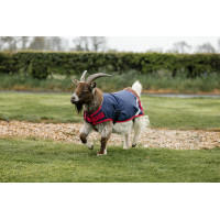 Cobertura para cabra Horseware 0g Azúl marino / rojo