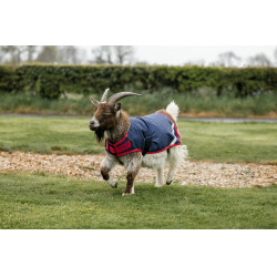 Cobertura para cabra Horseware 0g Azúl marino / rojo