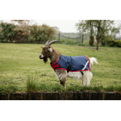 Cobertura para cabra Horseware 0g Azúl marino / rojo