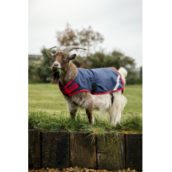 Cobertura para cabra Horseware 0g Azúl marino / rojo