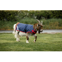 Cobertura para cabra Horseware 0g Azúl marino / rojo