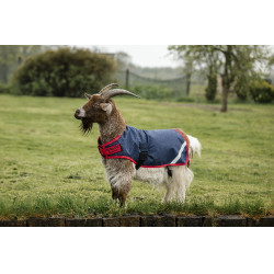 Cobertura para cabra Horseware 0g Azúl marino / rojo