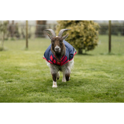 Cobertura para cabra Horseware 0g Azúl marino / rojo