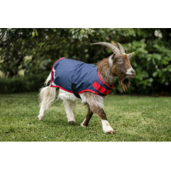 Cobertura para cabra Horseware 0g Azúl marino / rojo