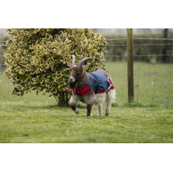 Cobertura para cabra Horseware 0g Azúl marino / rojo