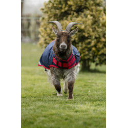 Cobertura para cabra Horseware 0g Azúl marino / rojo