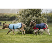 Cobertura para cabra Horseware 0g
