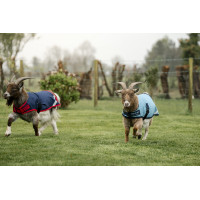 Cobertura para cabra Horseware 0g Azúl marino / rojo Cobertura para cabra Horseware 0g Azúl marino / rojo