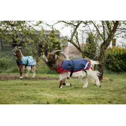 Cobertura para cabra Horseware 0g