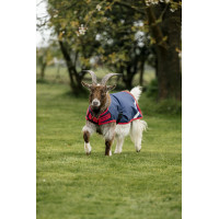 Manta para cabra Horseware 200g Azúl marino / rojo Manta para cabra Horseware 200g Azúl marino / rojo