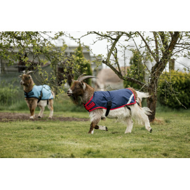 Manta para cabra Horseware 200g Manta para cabra Horseware 200g