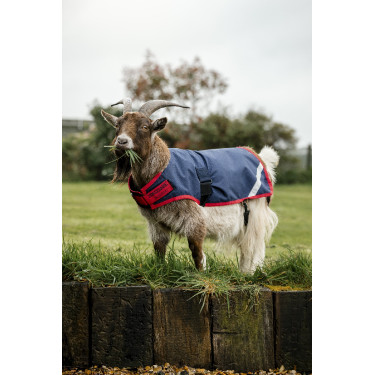 Manta para cabra Horseware 200g Manta para cabra Horseware 200g