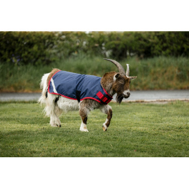 Manta para cabra Horseware 200g Manta para cabra Horseware 200g