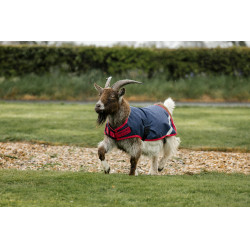 Manta para cabra Horseware 200g Azúl marino / rojo Manta para cabra Horseware 200g Azúl marino / rojo