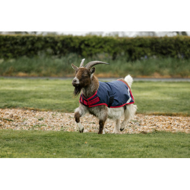 Manta para cabra Horseware 200g Manta para cabra Horseware 200g