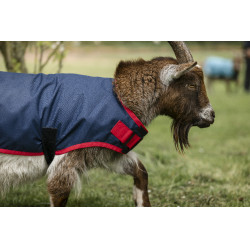 Manta para cabra Horseware 200g Azúl marino / rojo Manta para cabra Horseware 200g Azúl marino / rojo