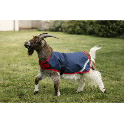 Manta para cabra Horseware 200g Azúl marino / rojo Manta para cabra Horseware 200g Azúl marino / rojo