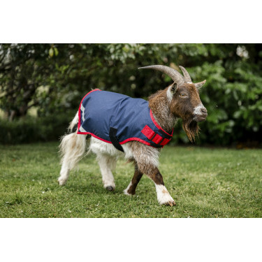 Manta para cabra Horseware 200g Manta para cabra Horseware 200g