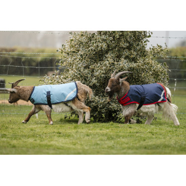 Manta para cabra Horseware 200g Manta para cabra Horseware 200g