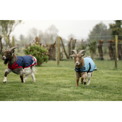 Manta para cabra Horseware 200g Manta para cabra Horseware 200g