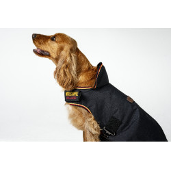 Capa para perro Horseware Newmarket Oro blanco