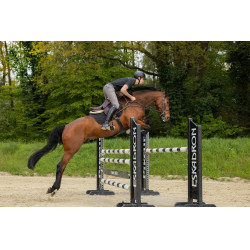 Pantalón Pikeur New Rodrigo Grip rodillas 7603 Sports hombre Gris acero Pantalón Pikeur New Rodrigo Grip rodillas 7603 Sports hombre Gris acero