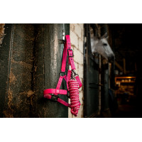 Cabezada y ramal Horseware Newmarket Rose witney Rosa