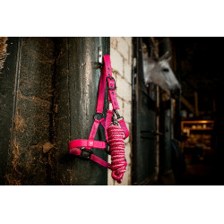 Cabezada y ramal Horseware Newmarket Rose witney Rosa