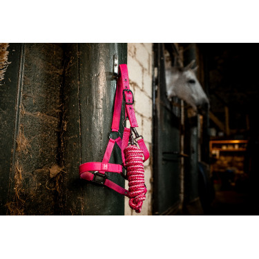 Cabezada y ramal Horseware Newmarket Rose witney Rosa
