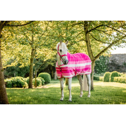 Cabezada y ramal Horseware Newmarket Rose witney Rosa