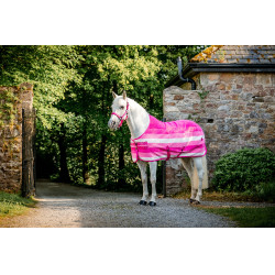 Cabezada y ramal Horseware Newmarket Rose witney Rosa