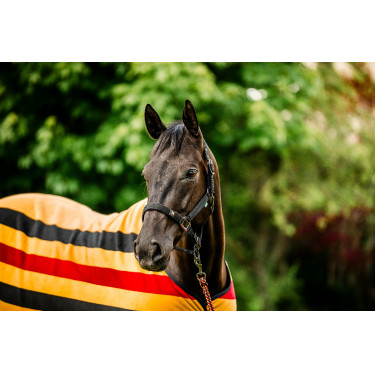 Cabezada y ramal Horseware Newmarket Cabezada y ramal Horseware Newmarket