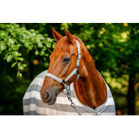 Cabezada y ramal Horseware Newmarket Carbón de leña Witney Gris