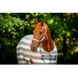 Cabezada y ramal Horseware Newmarket Carbón de leña Witney Gris Cabezada y ramal Horseware Newmarket Carbón de leña Witney Gris