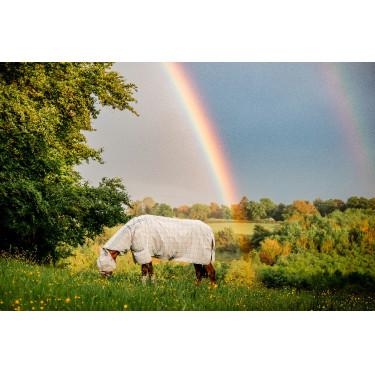 Máscaras anti-moscas Horseware Newmarket Carbón de leña Witney Gris