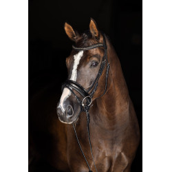 Muserola Covalliero Laca negra