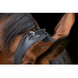 Brida anatómica Covalliero Negro