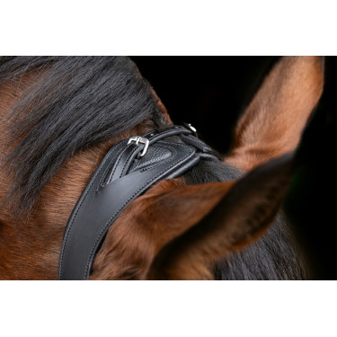 Brida anatómica Covalliero Negro