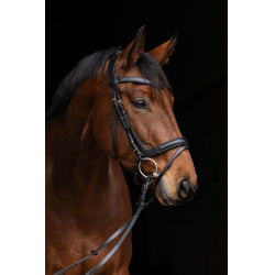 Brida anatómica Covalliero Negro