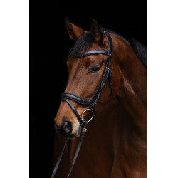 Brida anatómica Covalliero Negro