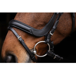 Brida anatómica Covalliero Negro