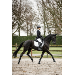 Chaqueta de concurso Horseware AA Platinium Motion Flex Pro Negro Chaqueta de concurso Horseware AA Platinium Motion Flex Pro Negro