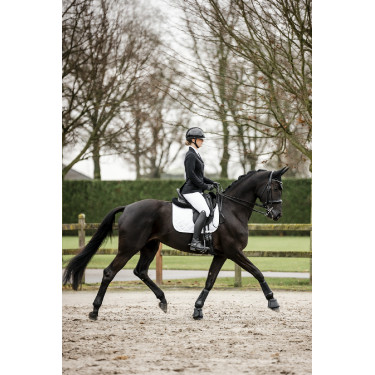 Chaqueta de concurso Horseware AA Platinium Motion Flex Pro Chaqueta de concurso Horseware AA Platinium Motion Flex Pro