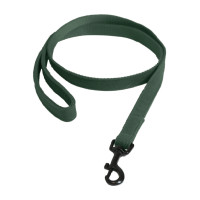 Deja Kentucky para perro Lagarto Verde oliva