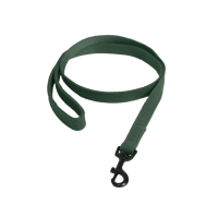 Deja Kentucky para perro Lagarto Verde oliva