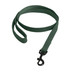 Deja Kentucky para perro Lagarto Verde oliva Deja Kentucky para perro Lagarto Verde oliva